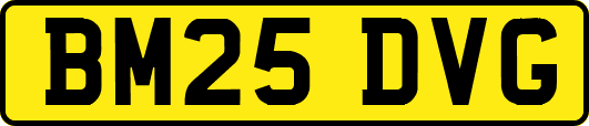 BM25DVG