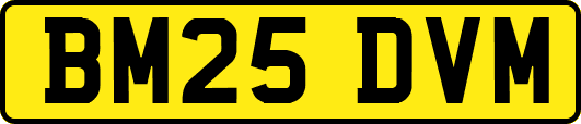 BM25DVM