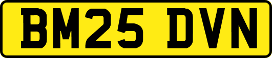BM25DVN