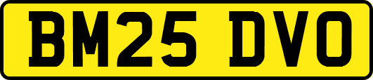 BM25DVO