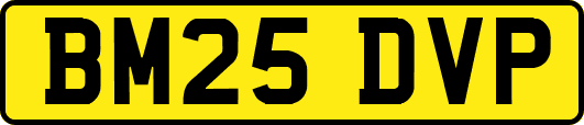 BM25DVP
