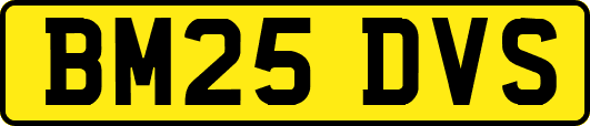 BM25DVS