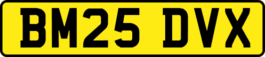 BM25DVX