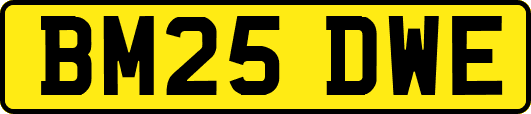 BM25DWE