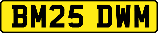BM25DWM