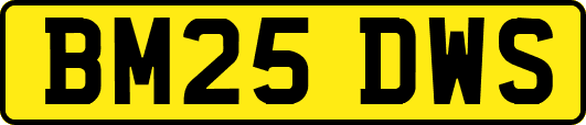 BM25DWS