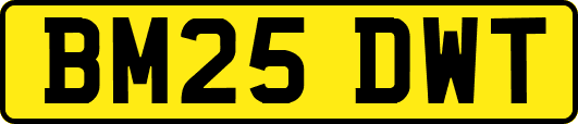 BM25DWT