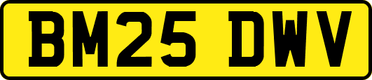 BM25DWV