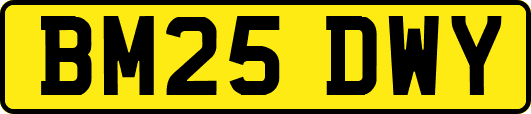 BM25DWY