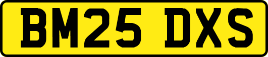 BM25DXS