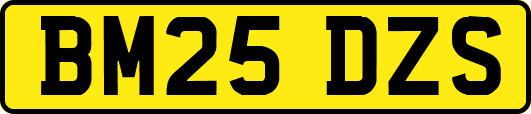 BM25DZS