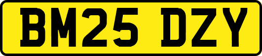 BM25DZY