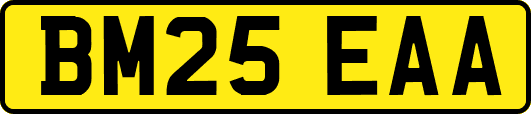 BM25EAA