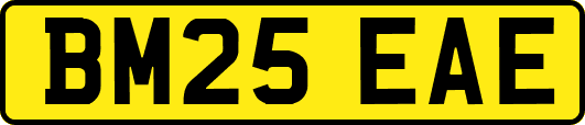 BM25EAE