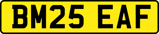 BM25EAF