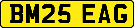 BM25EAG