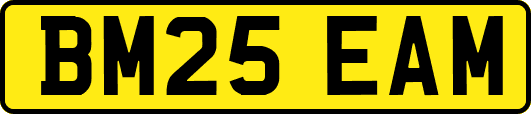BM25EAM