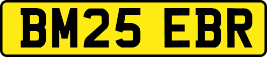 BM25EBR
