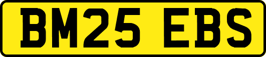 BM25EBS