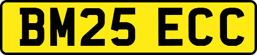BM25ECC