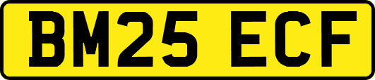BM25ECF