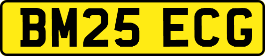 BM25ECG