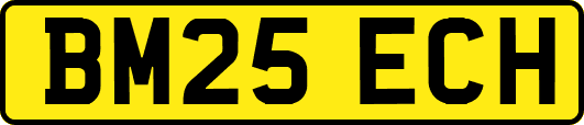 BM25ECH