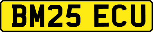 BM25ECU