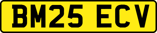 BM25ECV