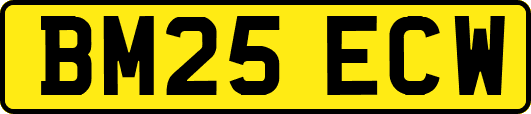 BM25ECW
