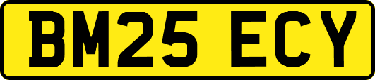 BM25ECY