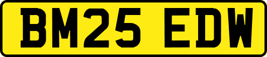 BM25EDW