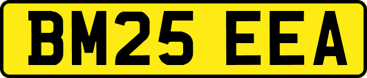 BM25EEA