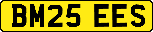 BM25EES
