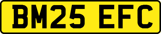 BM25EFC