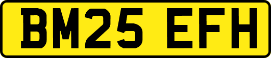 BM25EFH