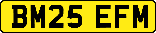 BM25EFM