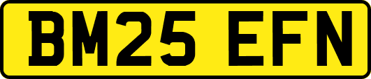 BM25EFN
