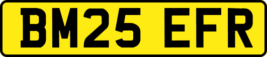BM25EFR