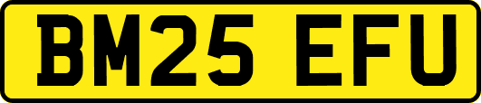 BM25EFU