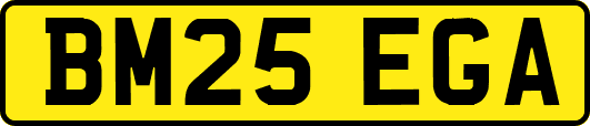 BM25EGA
