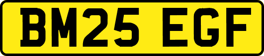 BM25EGF