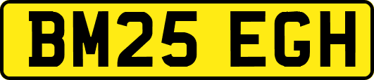 BM25EGH