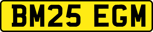 BM25EGM