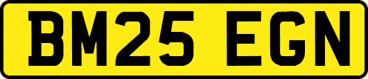 BM25EGN