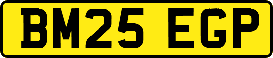 BM25EGP