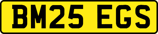BM25EGS