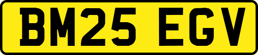 BM25EGV