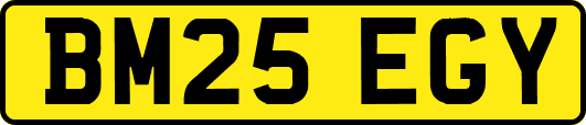 BM25EGY