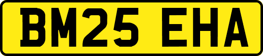 BM25EHA